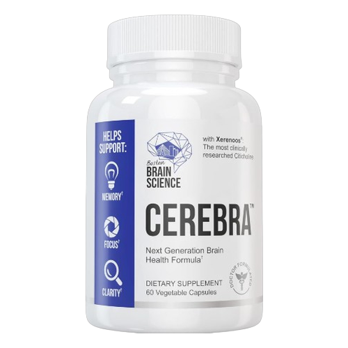 Cerebra