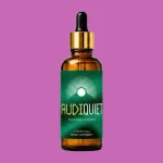 AudiQuiet Review